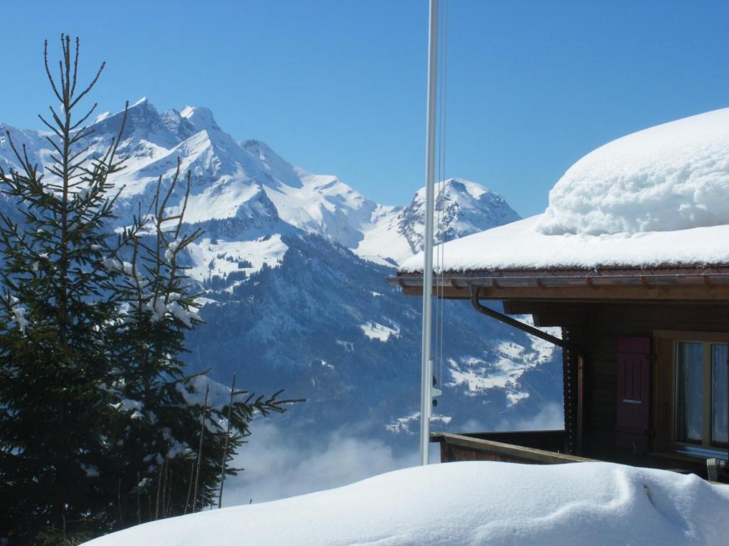 Chalet Blatti Hasliberg Esterno foto